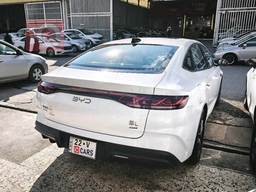 بي واي دي كوين L DM-i